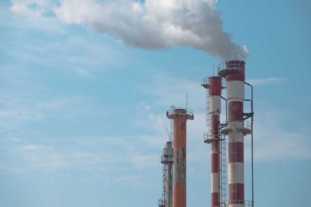 Huella de carbono empresarial: cómo reducir emisiones
